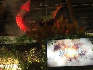 IMG-20171211-WA0000