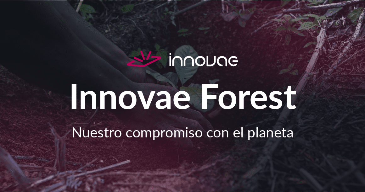 Innovae Forest, our commitment to environmental sustainability